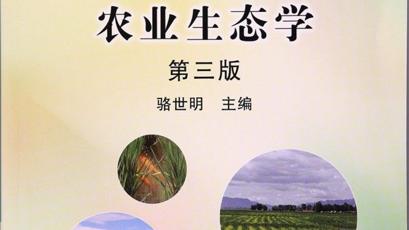 菜市场批发价查询秘籍：掌握这5招，你也能成为行家**