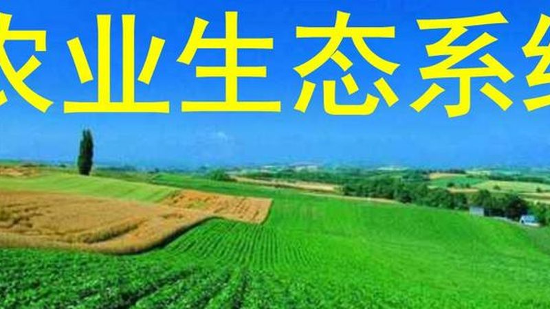 生鲜配送小程序开发的五大关键注意事项