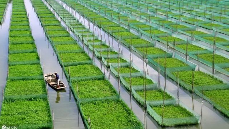 现代农业观光园景观设计方案推荐：打造生态与观光的完美融合