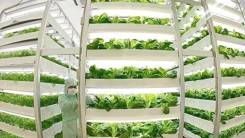 拖拉机与微耕机：性能解析与适用场景分析**