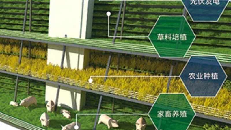 山东农产品供应链金融方案：破解融资难题，助力农业发展