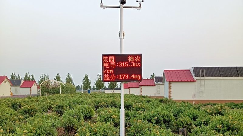 四川农业产业园：如何选择适合的种植品种**