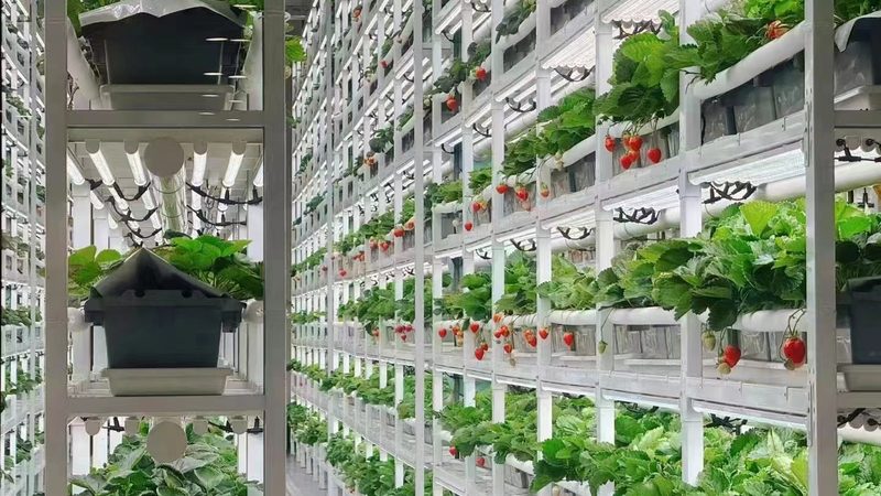 农资肥料农药，分类知多少？**