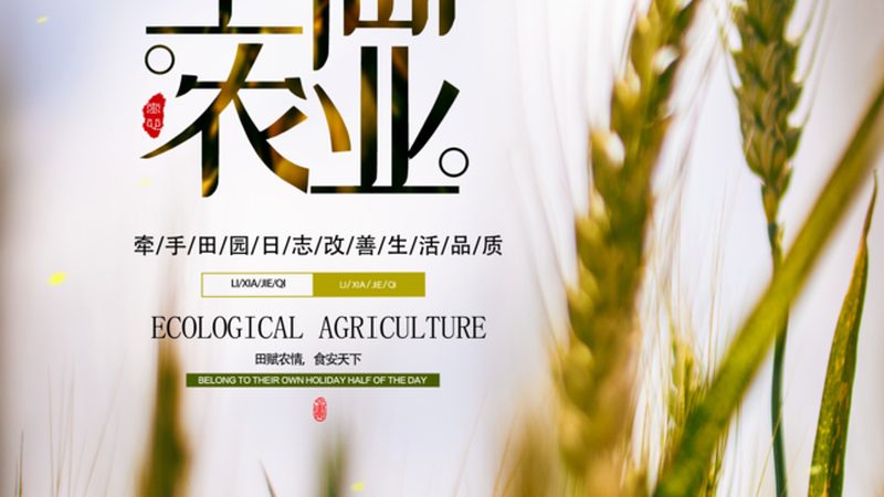构建现代农业产业链，规范先行，效益提升